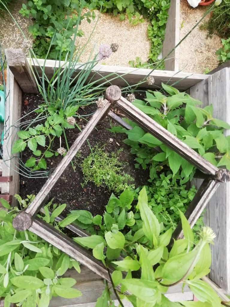 zeliščni kotiček NA KONCU MAVRICE
