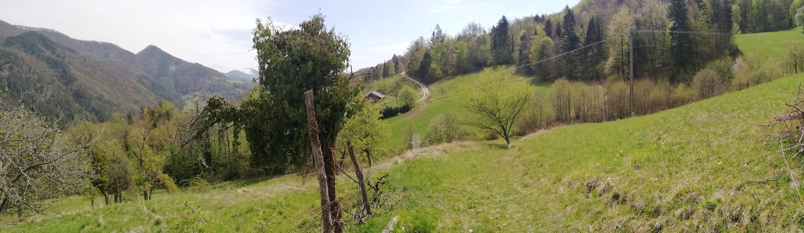 pomlad NA KONCU MAVRICE