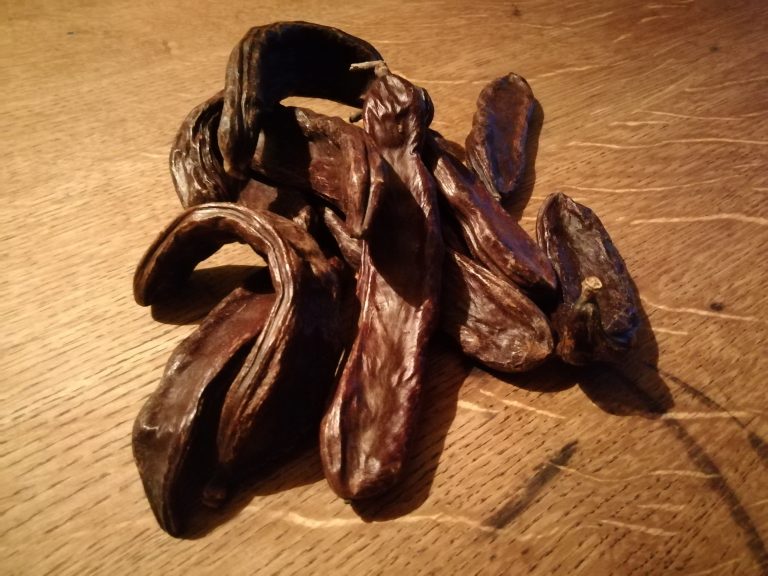 rožiči NA KONCU MAVRICE