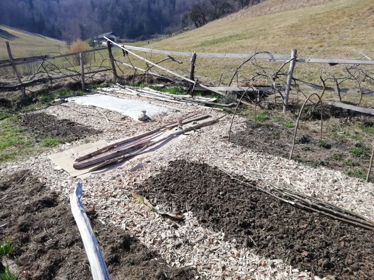 vrt poti22 NA KONCU MAVRICE